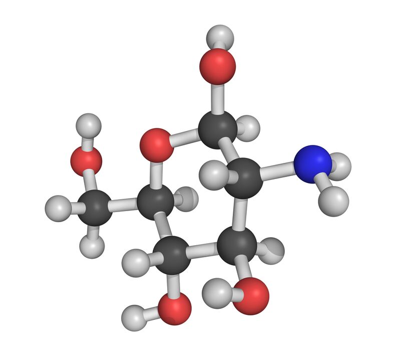 Chondroitin - ein Element der Zusammensetzung HondroFrost